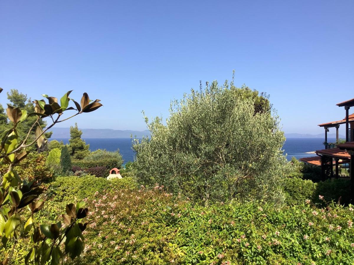Amazing Villa With Views Sea In Paliouri Exterior photo